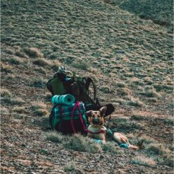 LOWLAND OUTDOOR® Donzen Slaapzak - Super Compact Blanket - 210 X 80 Cm - 590gr +8°C -Buitenkampeer Winkel 1200x1196 8