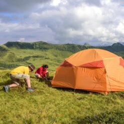 Relaxdays Tentharingen - Haringen - Schroefharingen - T-haring - 12 Stuks - Grondpennen - Zwart -Buitenkampeer Winkel 1200x1200 1358