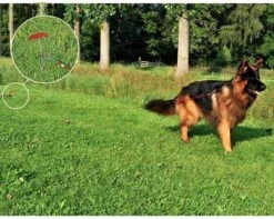 PROPLUS Pro Plus Aanlegspiraal - Hondenpen Met Handvat En Ring - Lengte 39 Cm -Buitenkampeer Winkel 1200x959 3